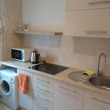 アパート On Arkhypenka Street リヴィウ